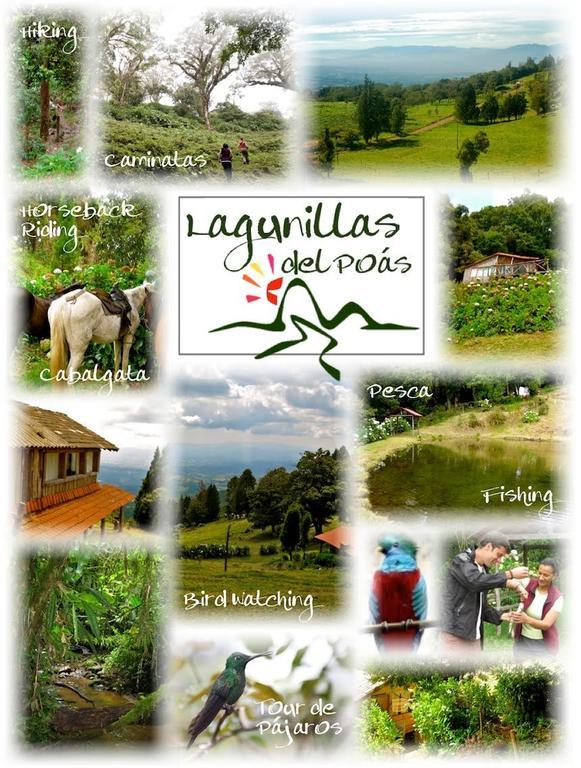 Lagunillas Del Poas Poasito Room photo
