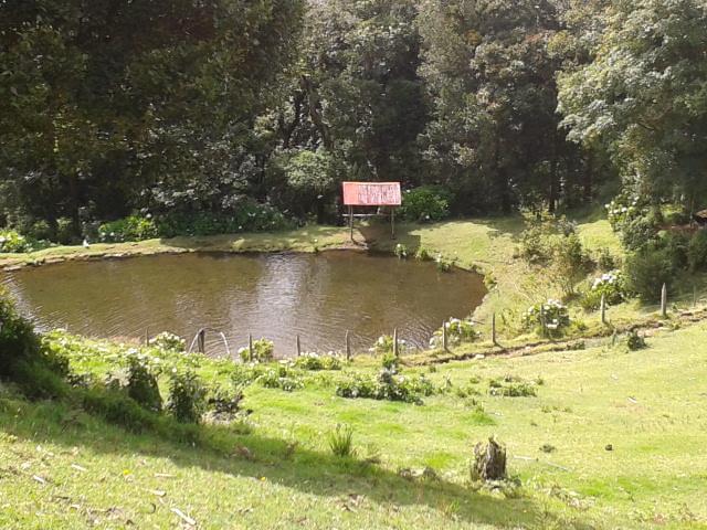 Lagunillas Del Poas Poasito Exterior photo